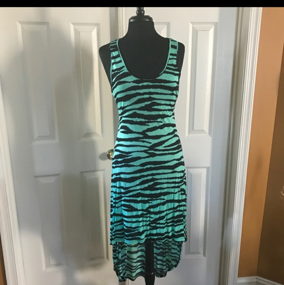 Mint Zebra Dress